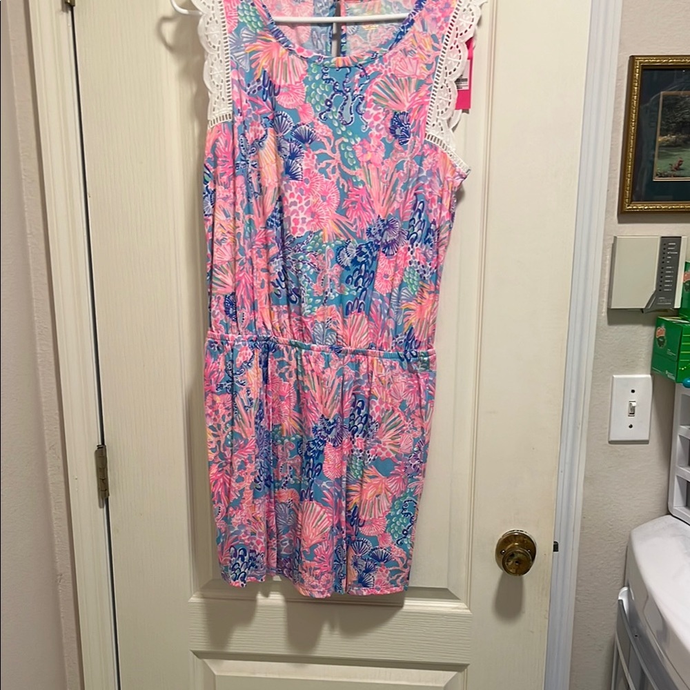 Lilly Pulitzer Pink and Blue Floral Dress
